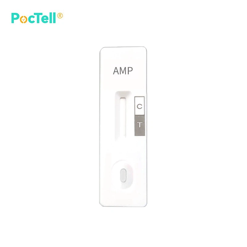 amp-rapid-test20250618034435a2e6e