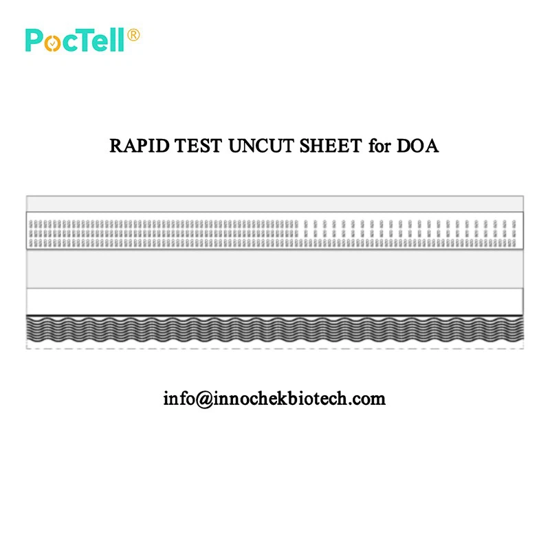 63.3 Rapid Test Uncut Sheet for DOA
